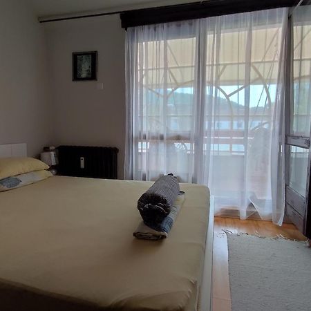 Vila Zora Apartman Banja Koviljača المظهر الخارجي الصورة