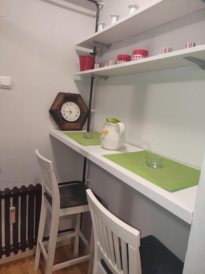 Vila Zora Apartman Banja Koviljača المظهر الخارجي الصورة